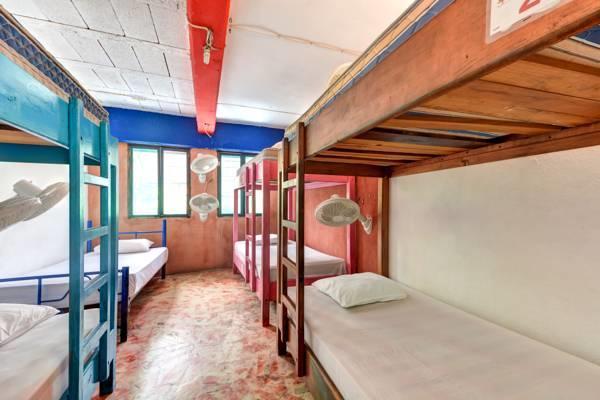 Hostel Playa Πλάγια Ντελ Κάρμεν Δωμάτιο φωτογραφία